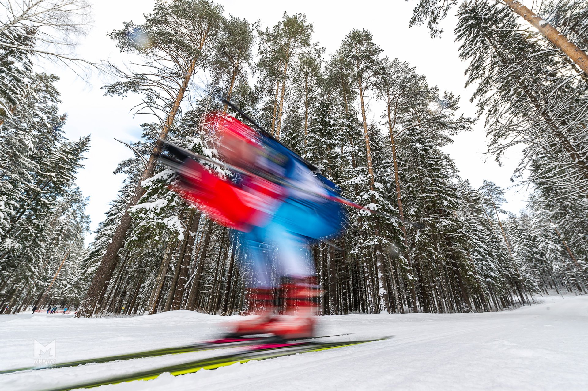 biathlon biathlon geschwindigkeit wald winter