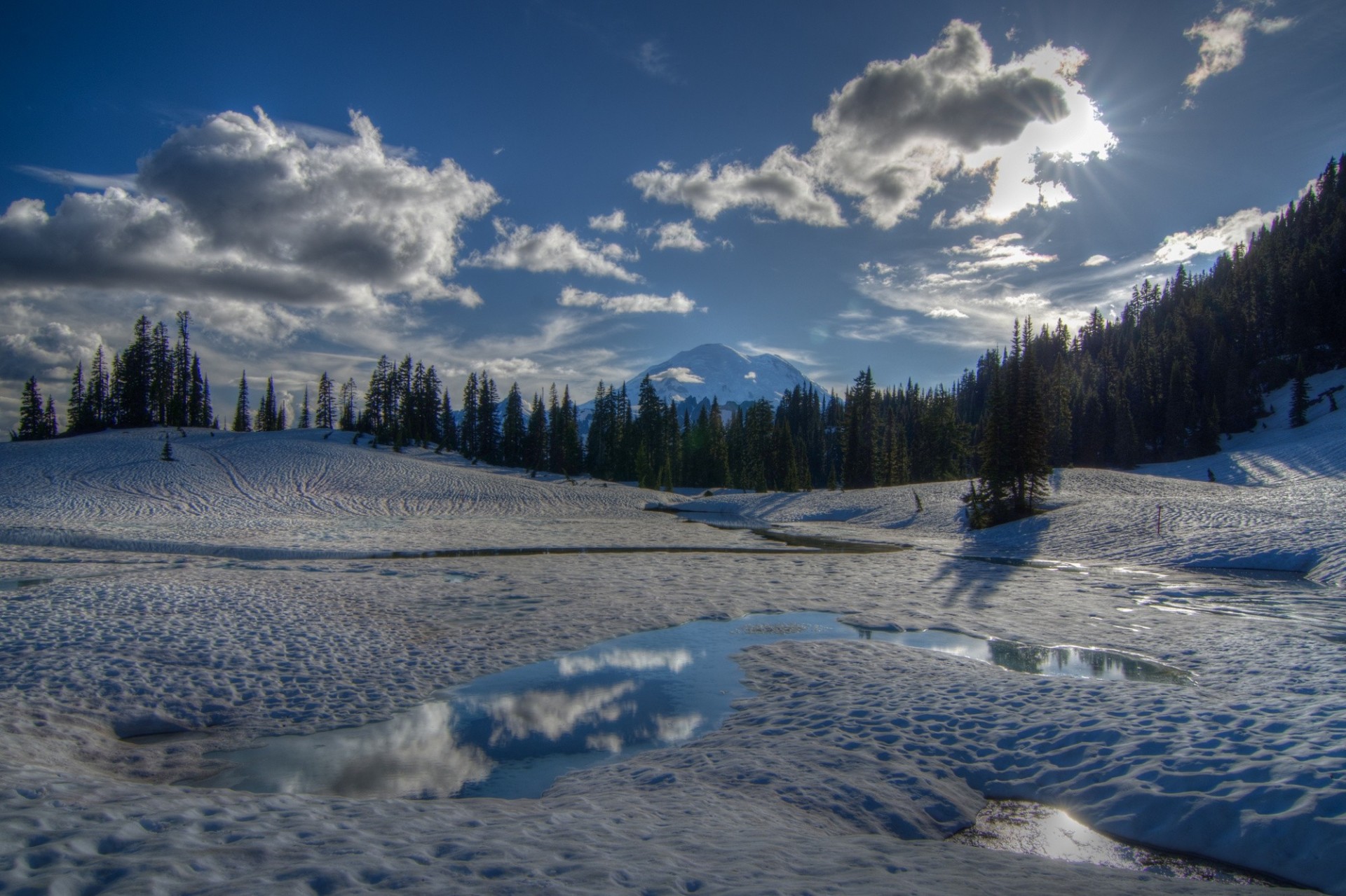 zima waszyngton las śnieg mount rainier góra drzewa