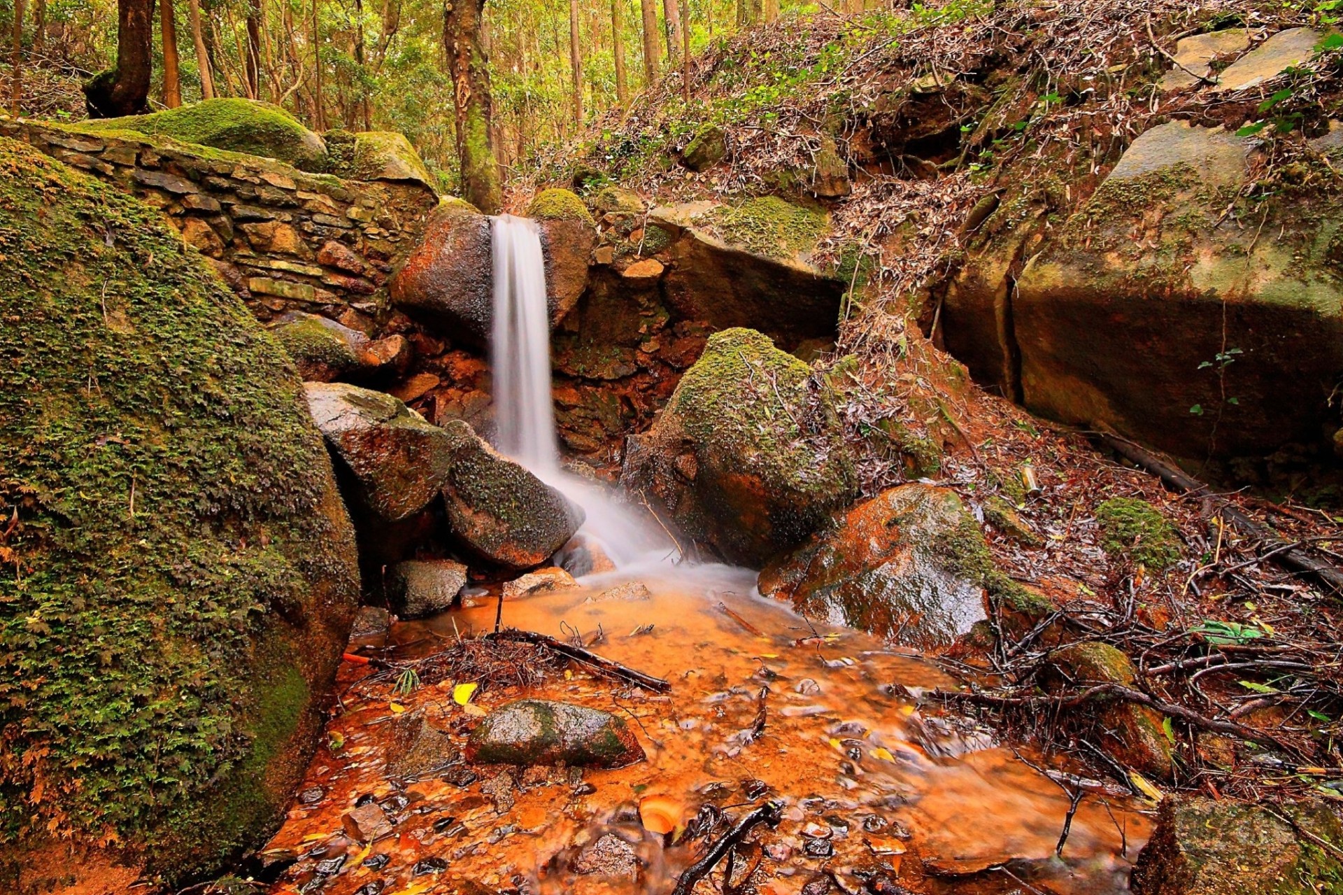 piedras bosque cascada naturaleza