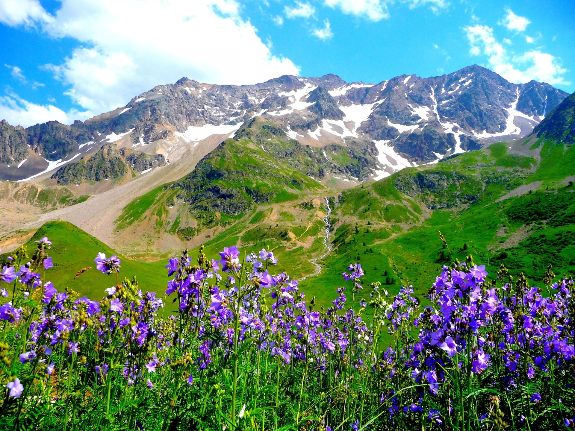 montagnes paysage alpes fleurs