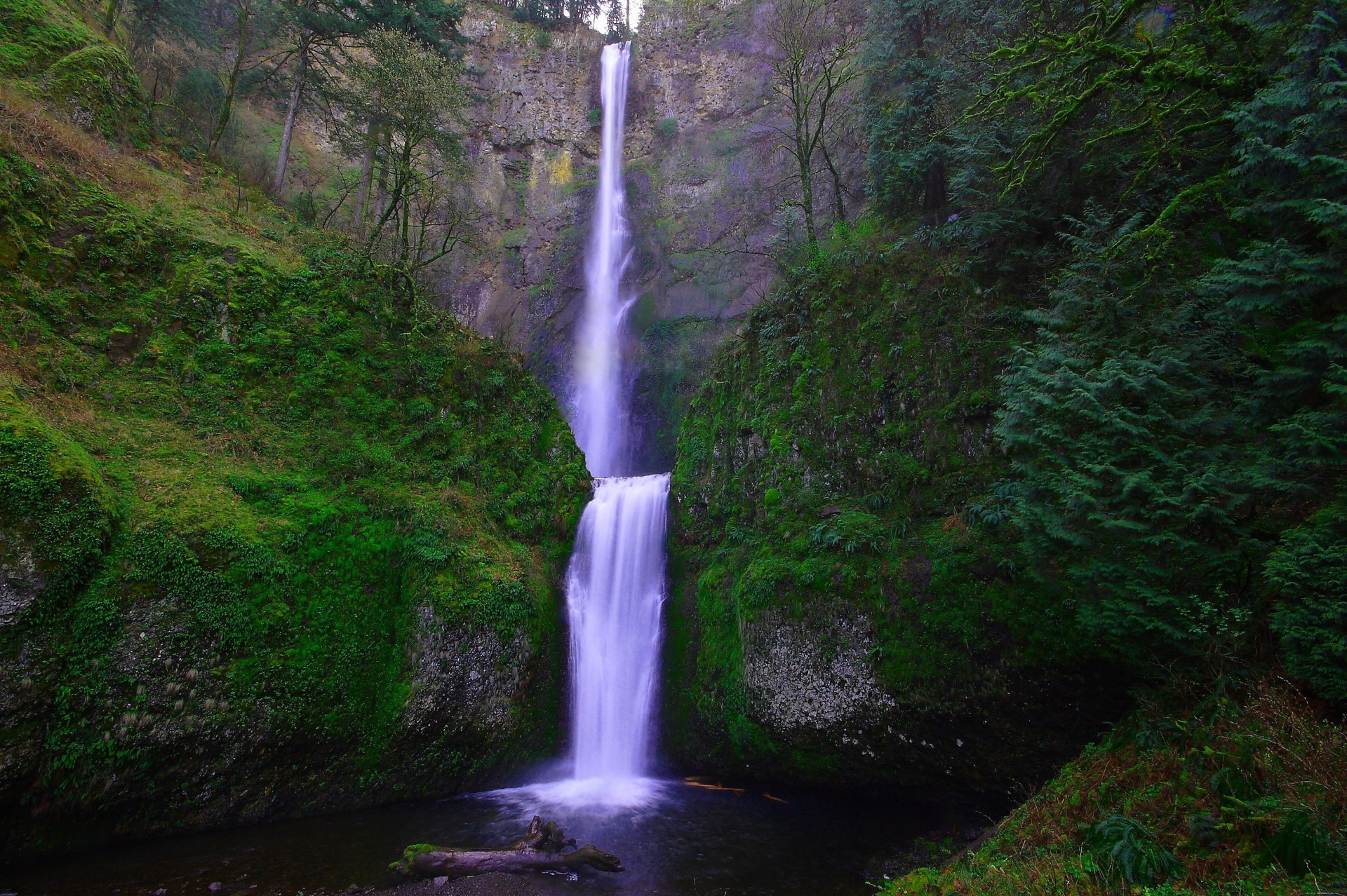 bäume moos wasserfall felsen natur