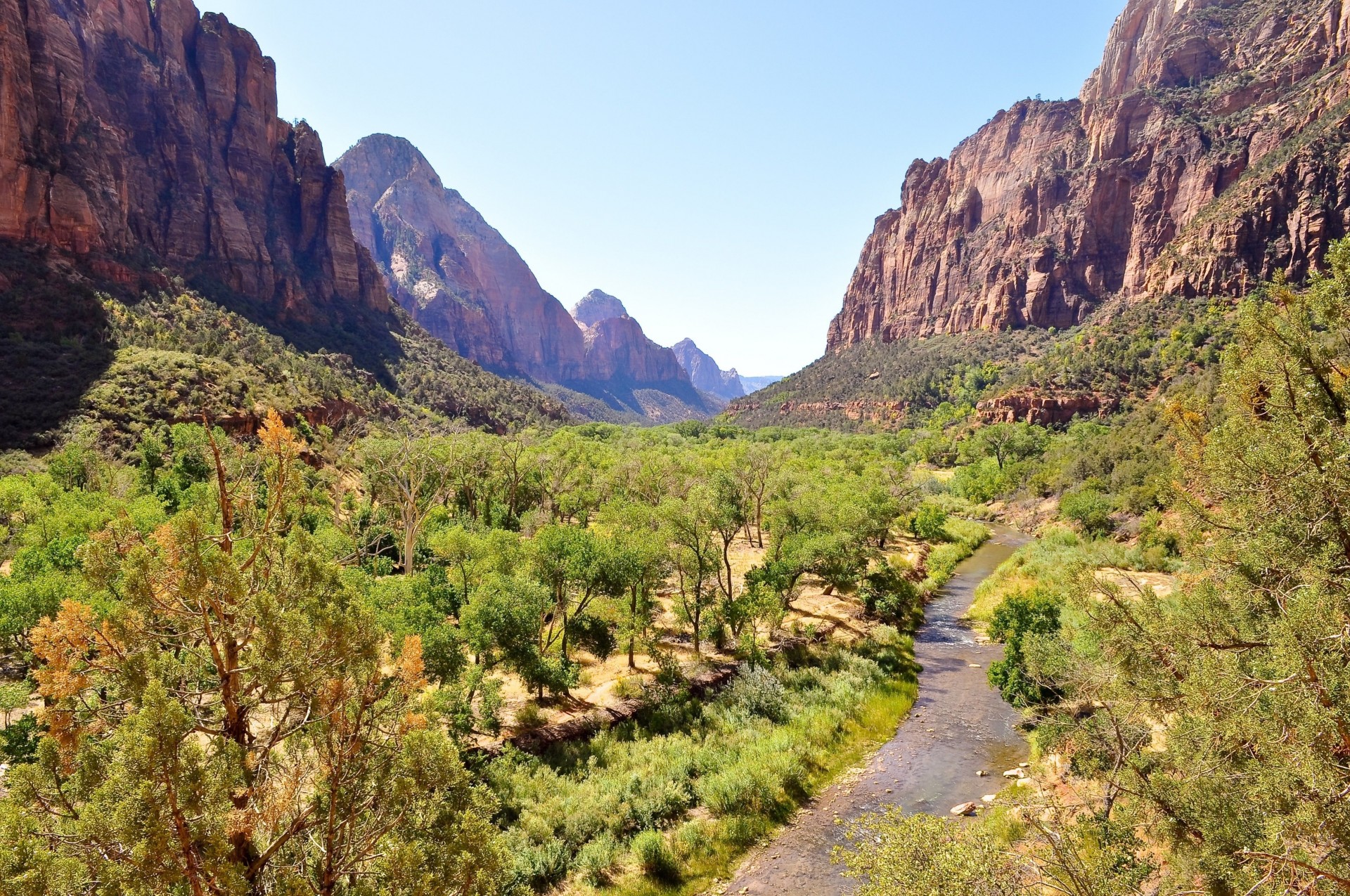 fluss natur bäume berge nationalpark zion