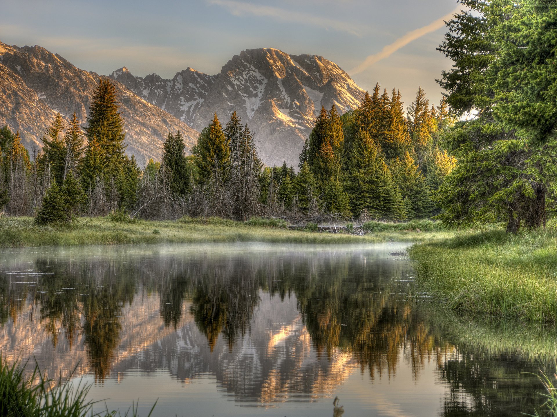 nature forest river reflection mountain