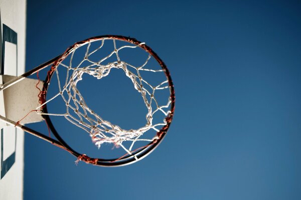 Cancha de baloncesto deportiva en su área, estar más cerca de los deportes