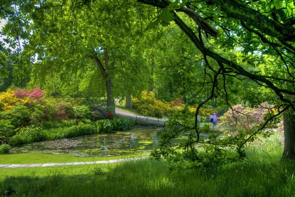 Menschen Teich, Bäume , Grün , um Gelassenheit herum