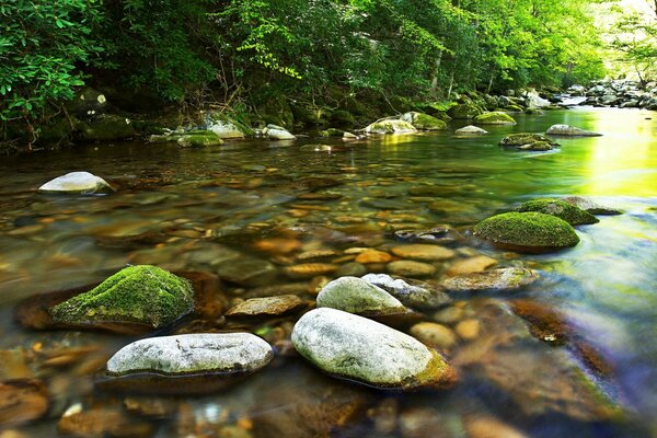 Piedras grises en aguas poco profundas del río