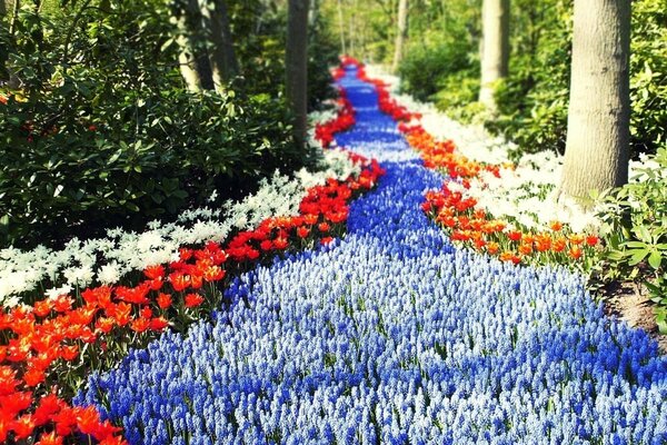 Eine Straße im Wald, die mit Blumen übersät ist