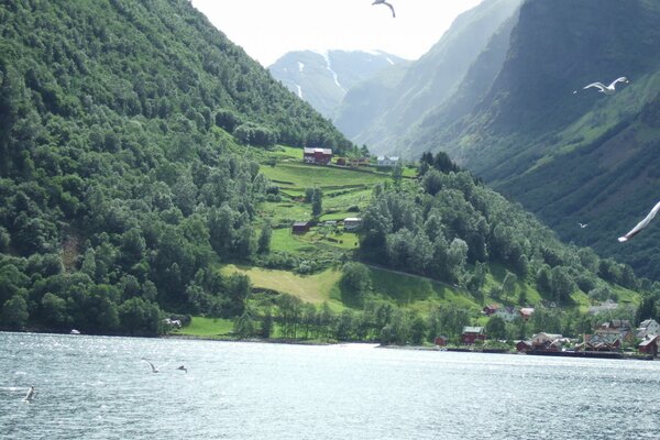 In Norwegen ist die Natur von wahnsinniger Schönheit