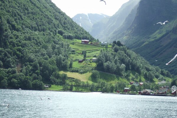 In Norvegia, la natura della bellezza folle