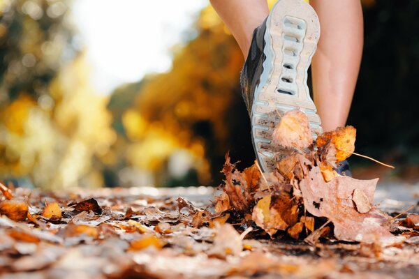 Scarpe sportive comode per il turismo