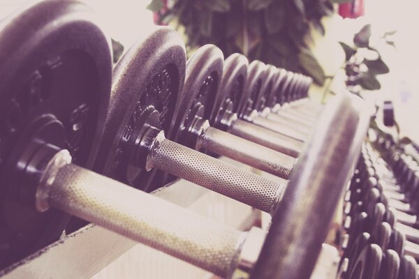 Fila de mancuernas en el gimnasio