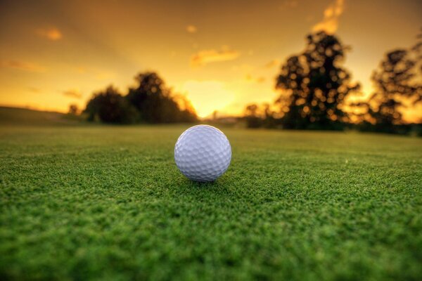 Golf ball on the grass against the background of dawn