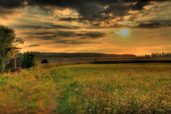 Wiesengras auf einem grenzenlosen Feld