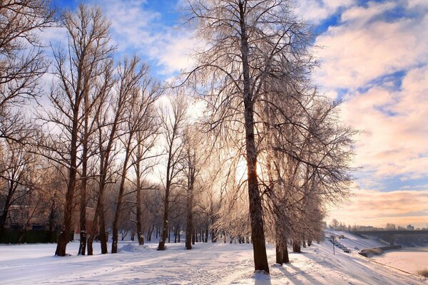 Winter landscape on a blue sky background