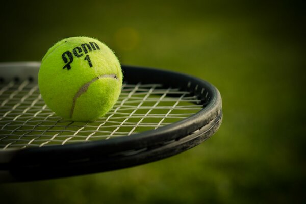 A tennis ball on a tennis racket