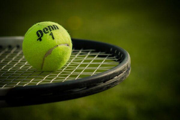 Pelota de tenis en una raqueta de tenis