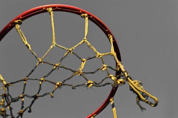 Basketball hoop on a gray background