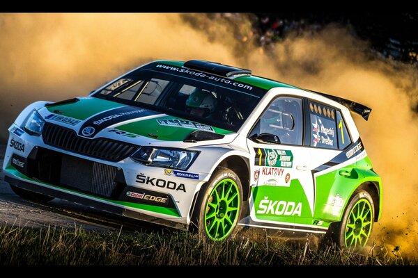 Skoda fabia r5 New Jersey bei der Rallye