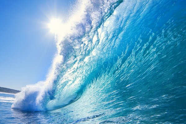 Nature. A large wave illuminated by the sun