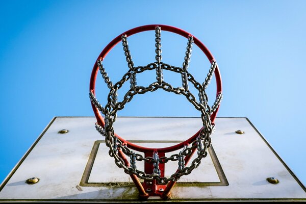 Basketballschild mit Sportring