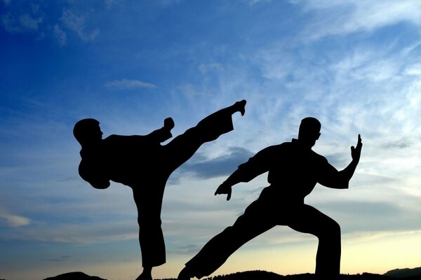 Silhouette of karate fighters against the sky