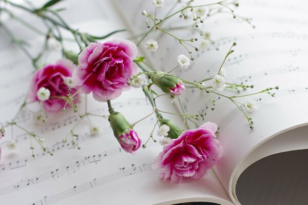 Rosa und weiße Nelken auf einem musikalischen Notizbuch