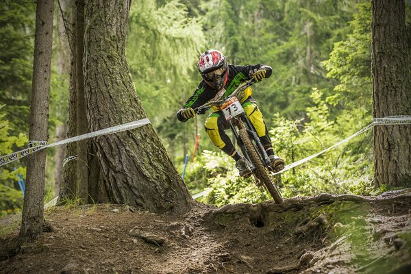 Course de vélo dans la forêt hors route