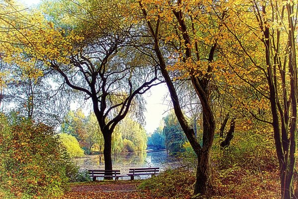 Осенний парк, скамейки на берегу озера
