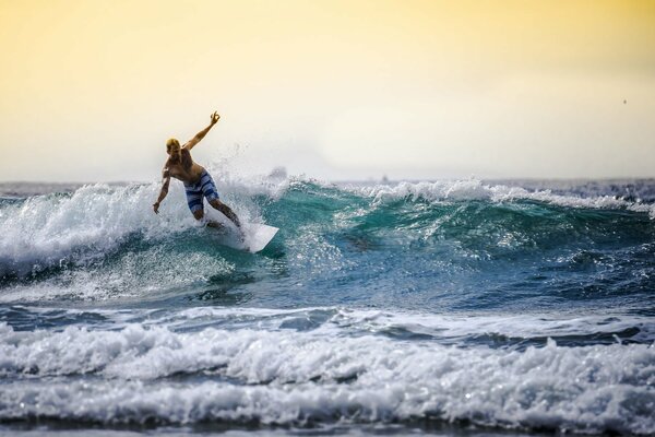 Un surfeur conquiert une vague de mer