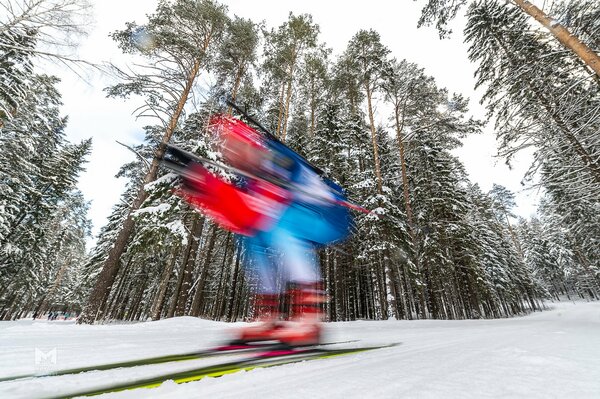 Szybki biathlonista w zimowym lesie