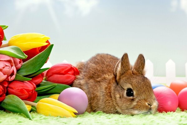 Foto nello stile della festa di Pasqua