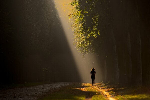 Morning jog in the sun