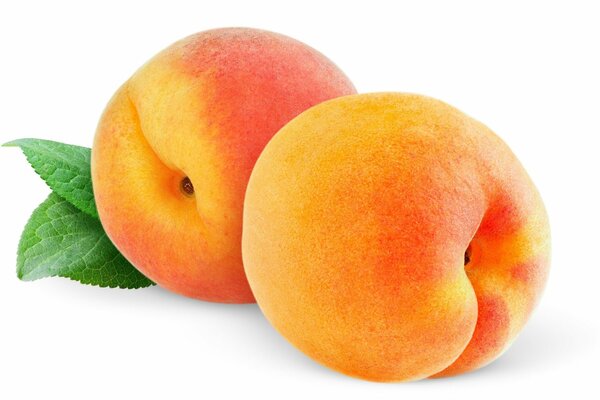 Fruit photo of peaches on a white background