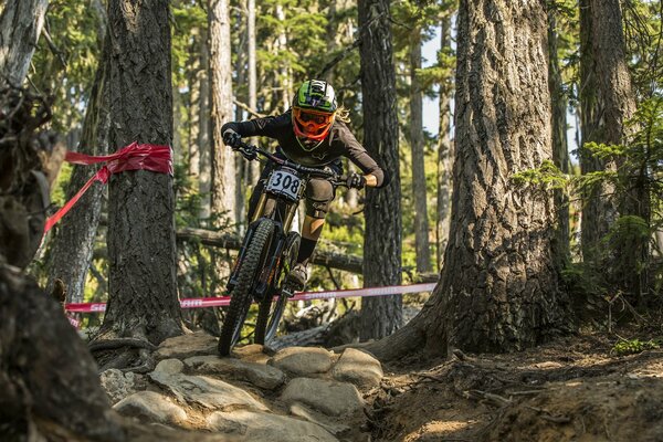 Moto da corsa in estate nella foresta