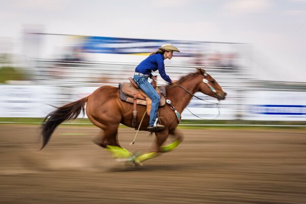 Horse racing. Horse. Sport