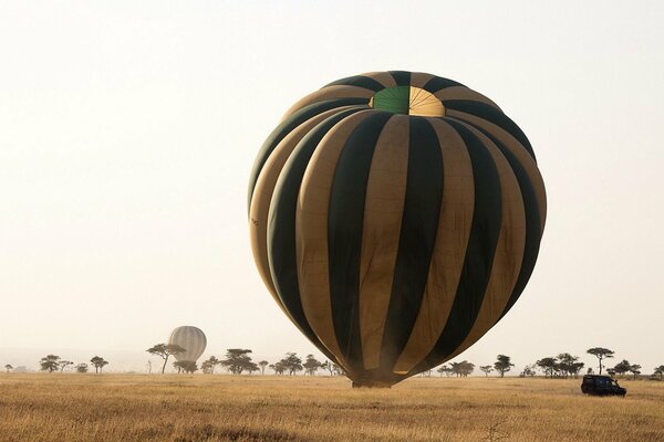 Ballon landete im Feld