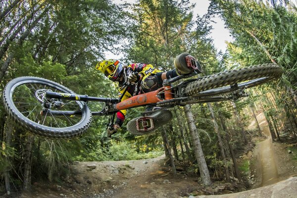 Courses de vélo dans la nature verte