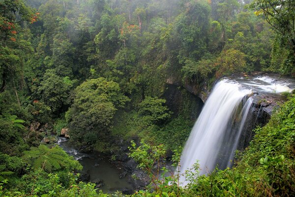 Cascada en la hermosa Queensland. Australia