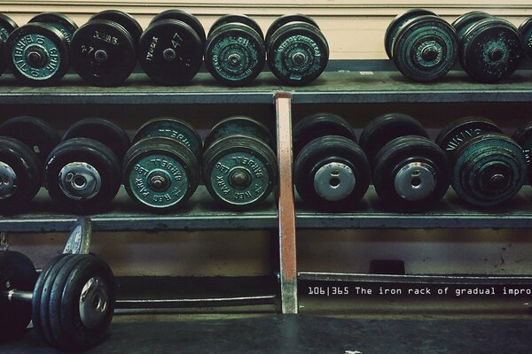 Manubri sul rack in palestra