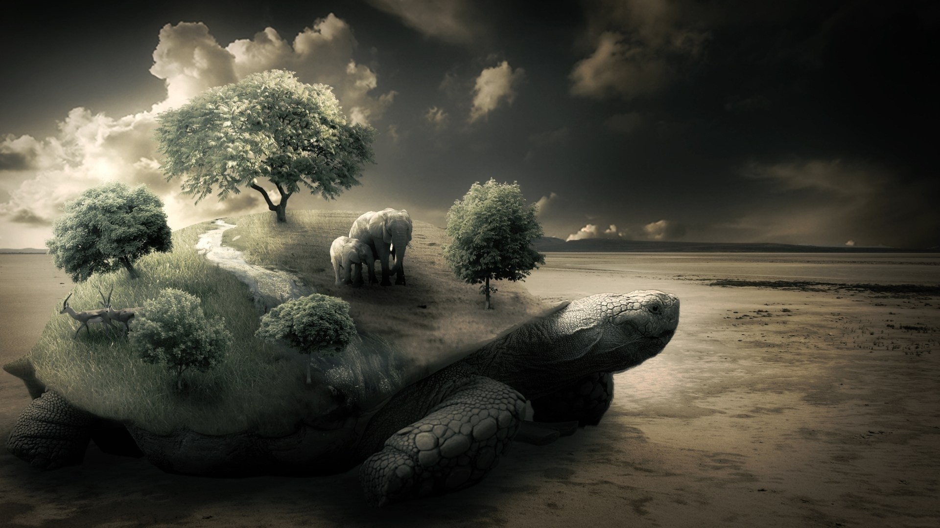 the distance tree grass sky cherepeha animals desert horizon elephant