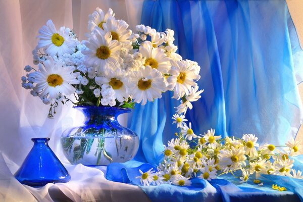 Daisies in a vase on a blue background