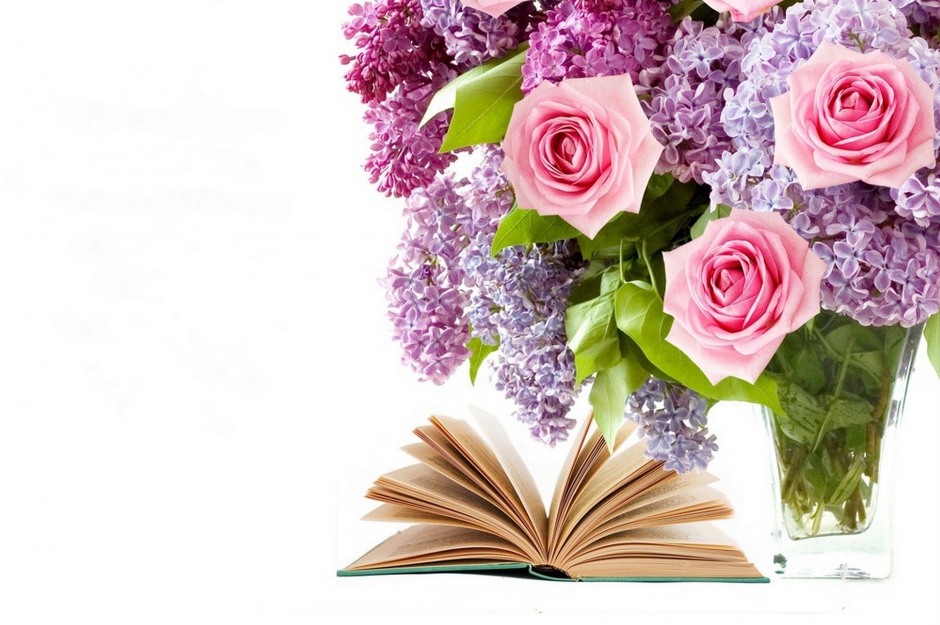 roses bouquet flower book lilac