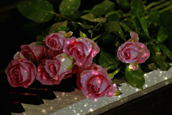 Бутоны роз лежат на фортепиано