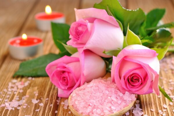 Roses together pink salt candles for love someone cooks romantically