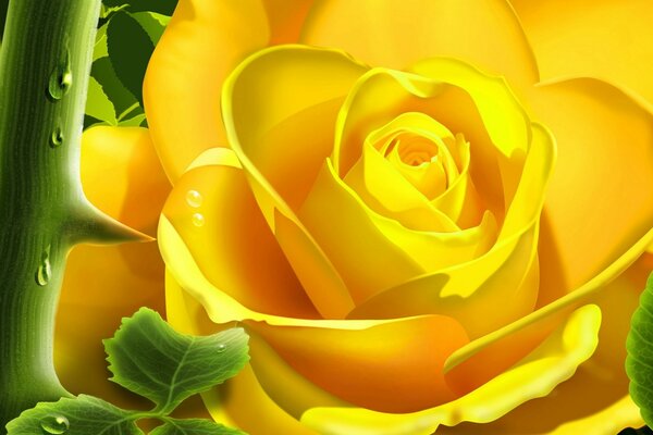 Beautiful yellow rose with thorns