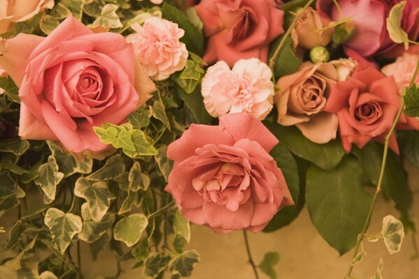 Rosas polvorientas y claveles con hojas verdes