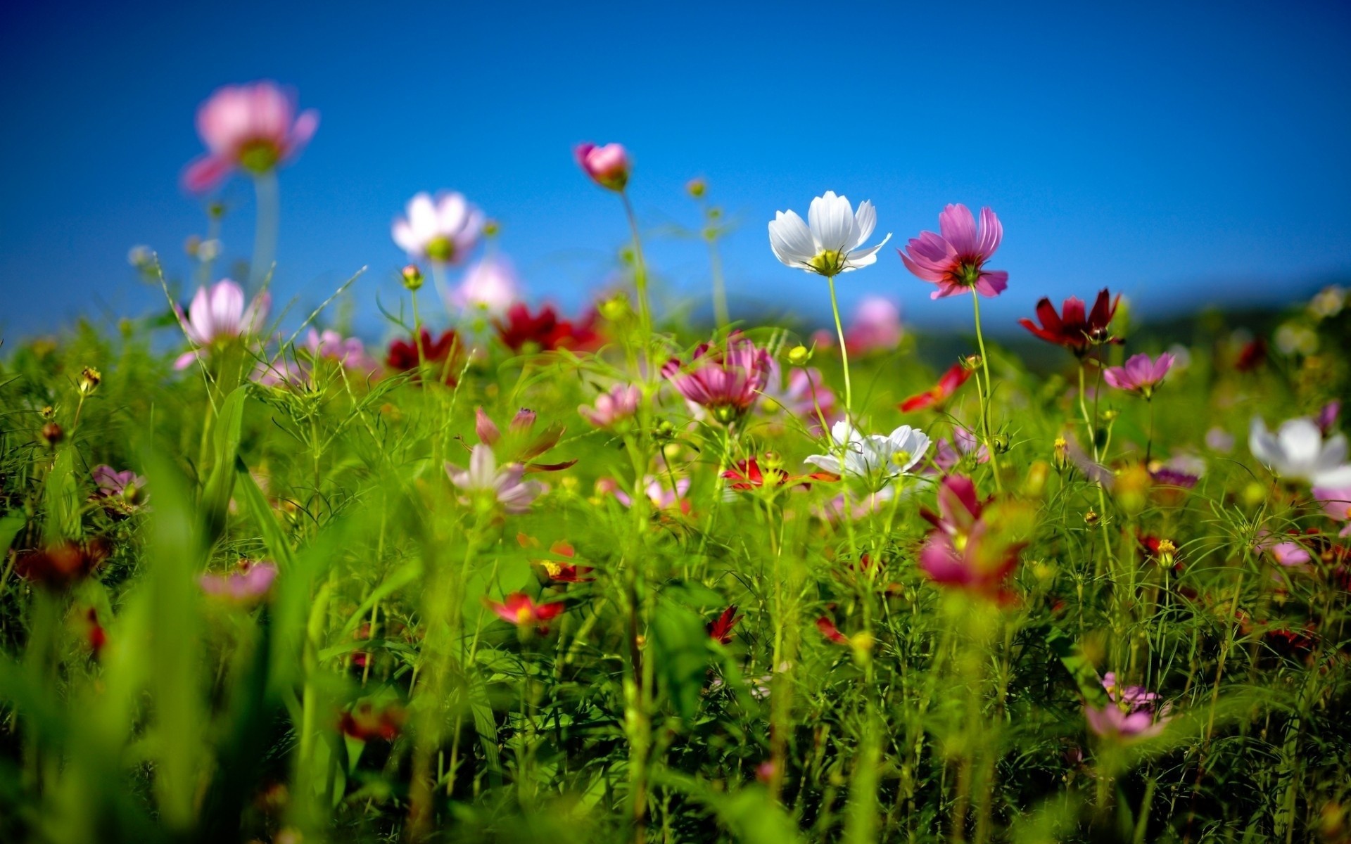 sole cielo estate primavera