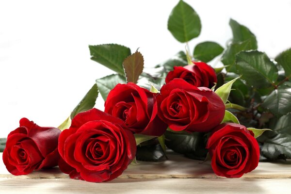 Sul tavolo c è un mazzo di rose rosse