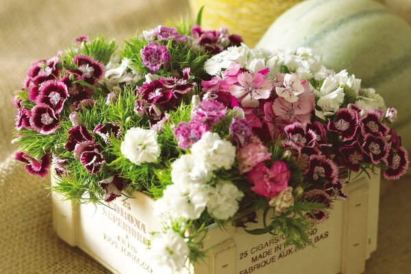 Hay una Caja y hay flores en ella