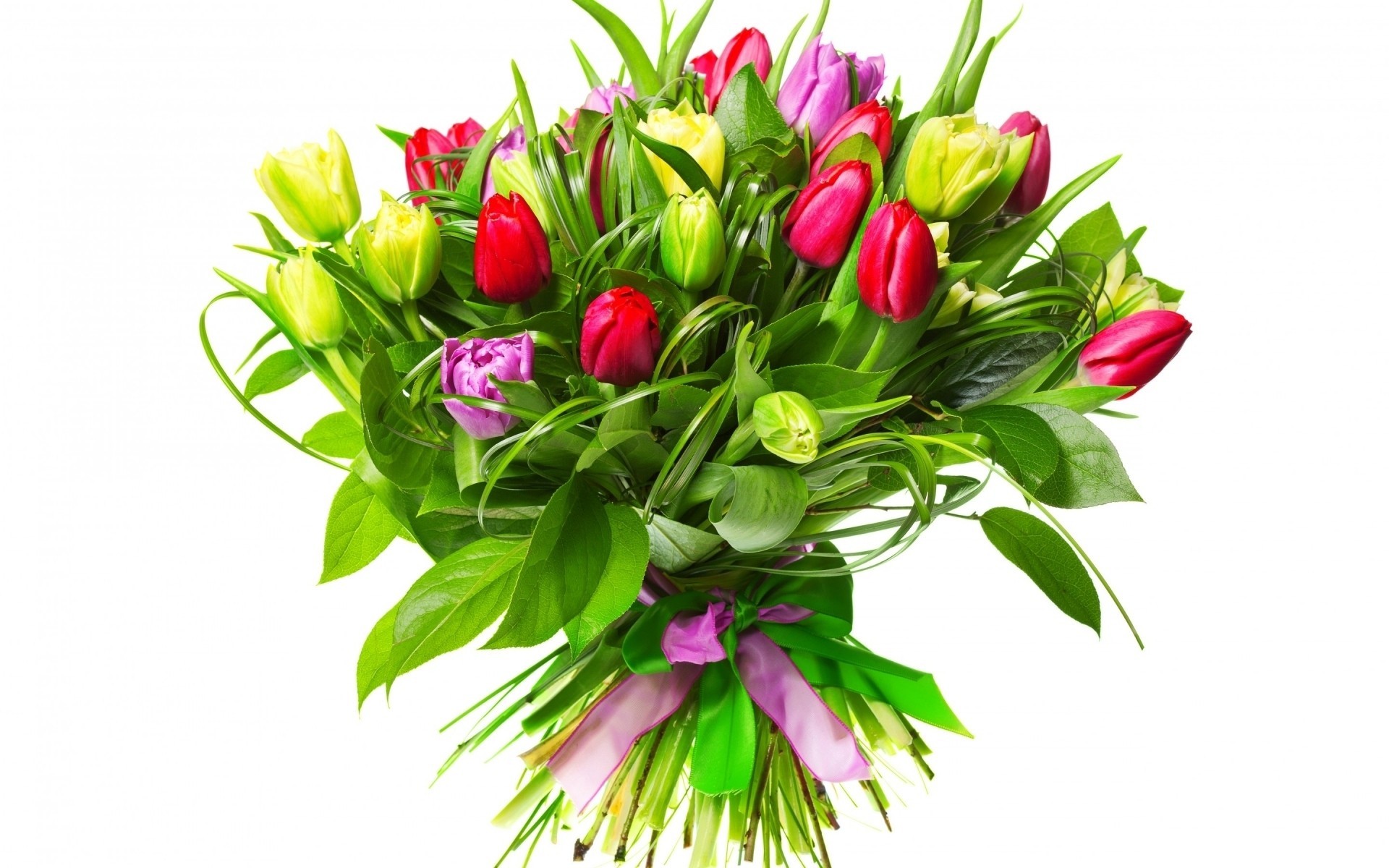 bouquet white background holidays spring tulip